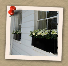 Bespoke Window Boxes