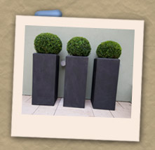 Bespoke Window Boxes